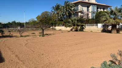 Property #TSR1462C - Image 4