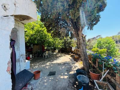 Property #TSR1536C - Image 2