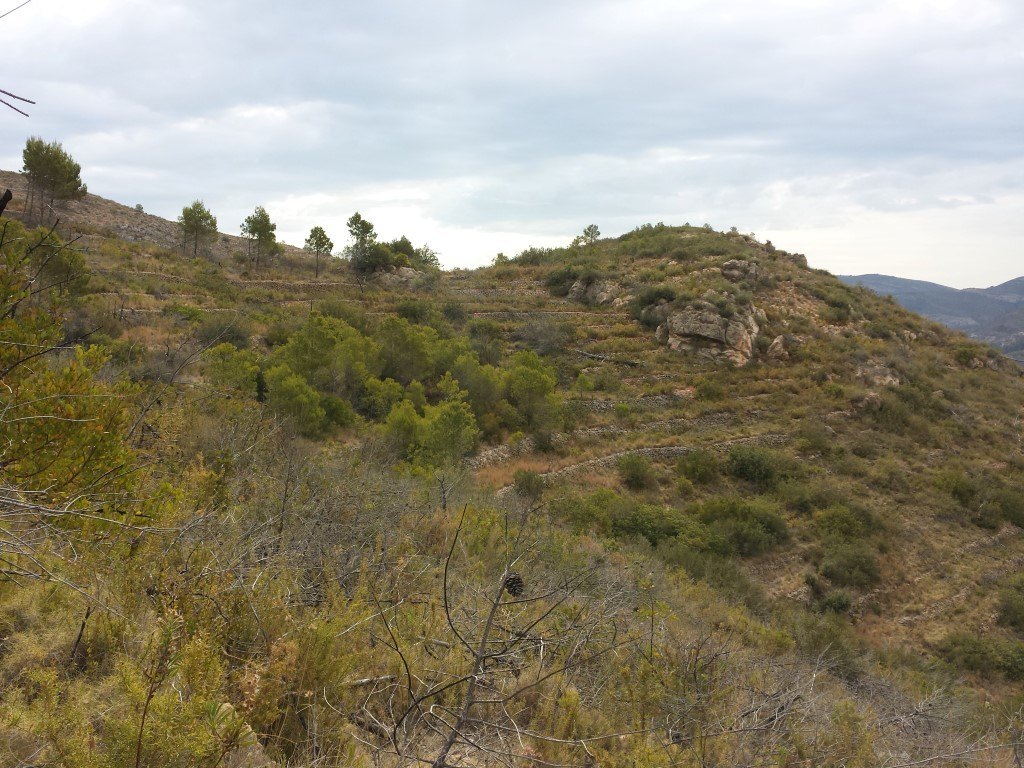 Se vende parcela en pedreguer con licencia de construccion - 20