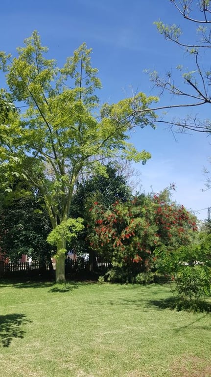 Ondara. Finca amplia en venta - 14