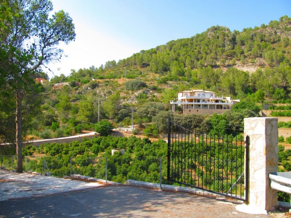 Finca amb plantacion d' alvocats a Forna - 8