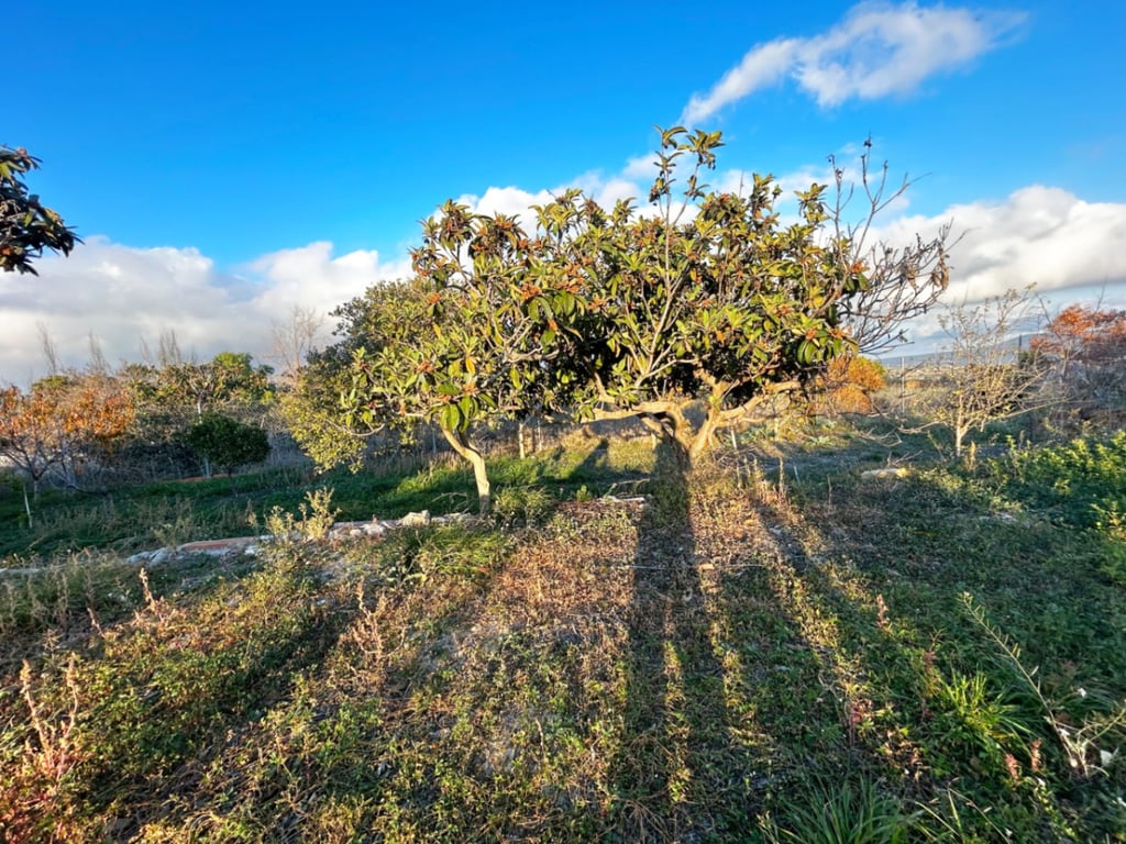 Villa con gran potencial de reforma en Benissa – oportunidad única de inversión - 5