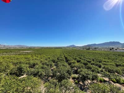 Property #TSR3358C - Image 2