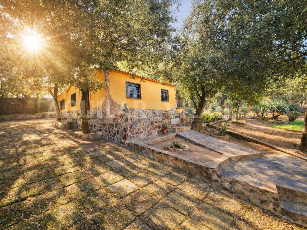 Move-in ready house in nature - 9