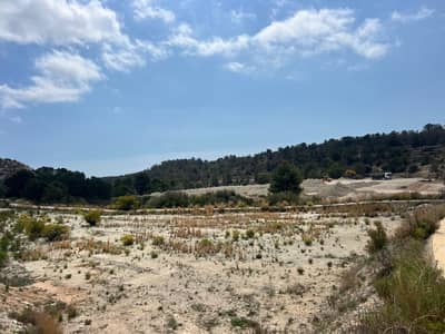 Property #TSR1548C - Image 5