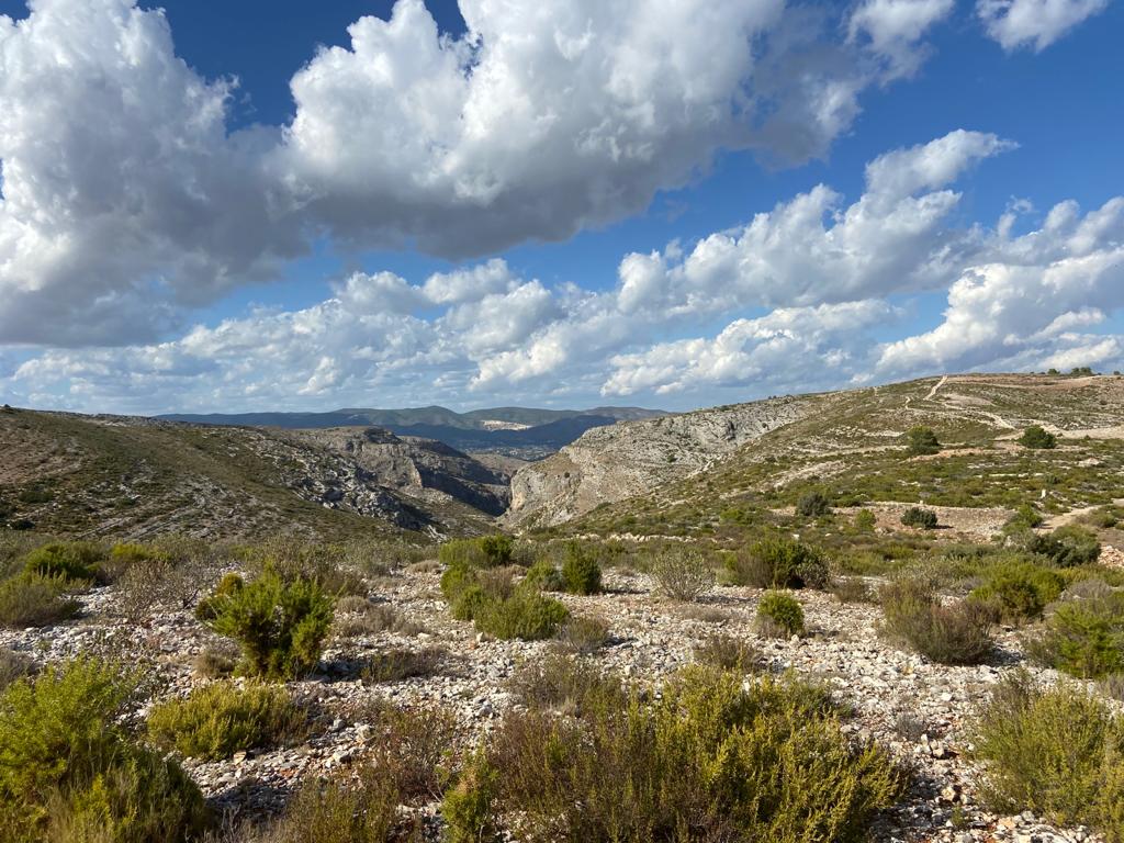 Se vende Terreno/Coto de Caza en Bocairente - 17