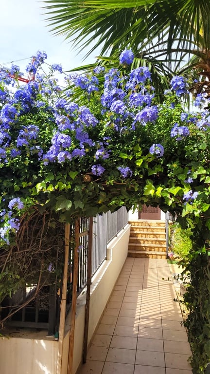 Property #RH20301 - 8