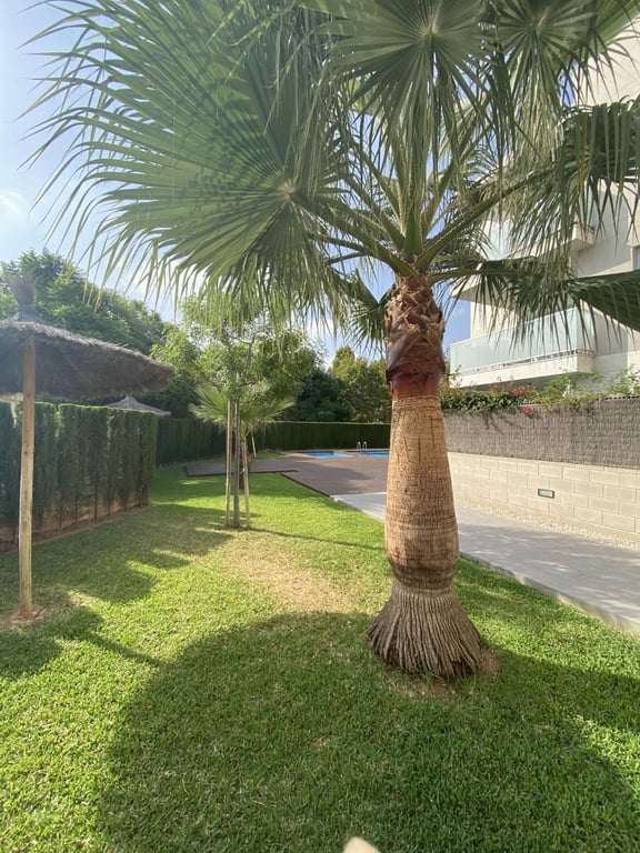 Apartament dúplex de lloguer a Jávea - 24