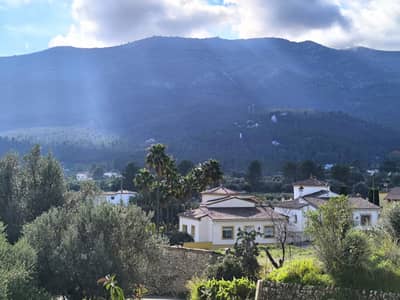 Property #TSR1574C - Image 3