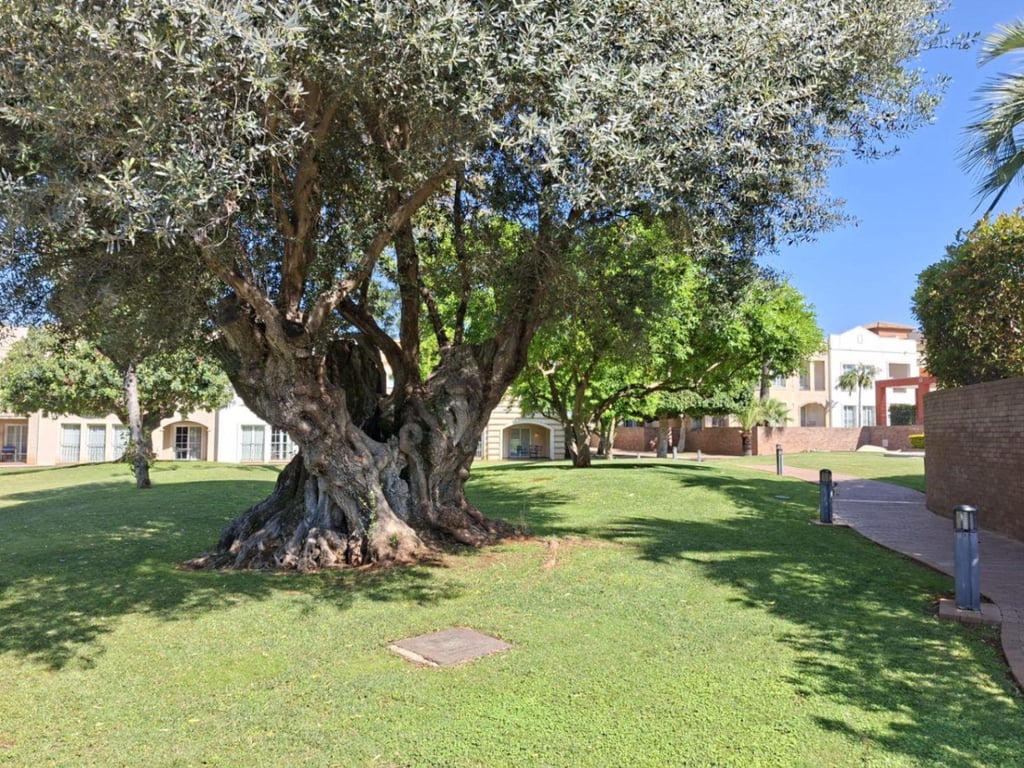 Apartamento Golf la Sella a Denia - 31