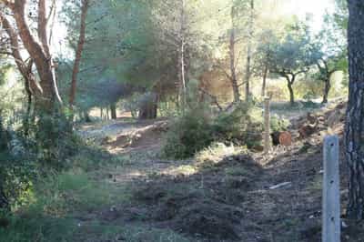 Property #AD 224 3