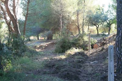 Property #AD 224 - Image 4