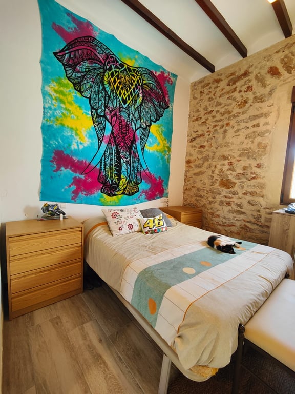 Parcela de 12.137 m2 con casa rústica habitable y bonitas vistas al mar y al Peñón de Ifach  - Benissa - 10