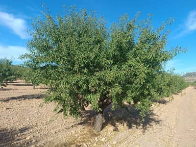 Property #TSR2919C - Image 2