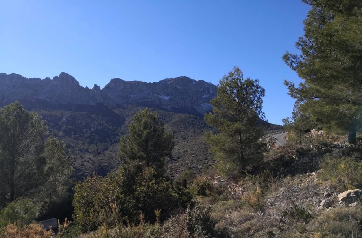 Property #RH20571 - 2