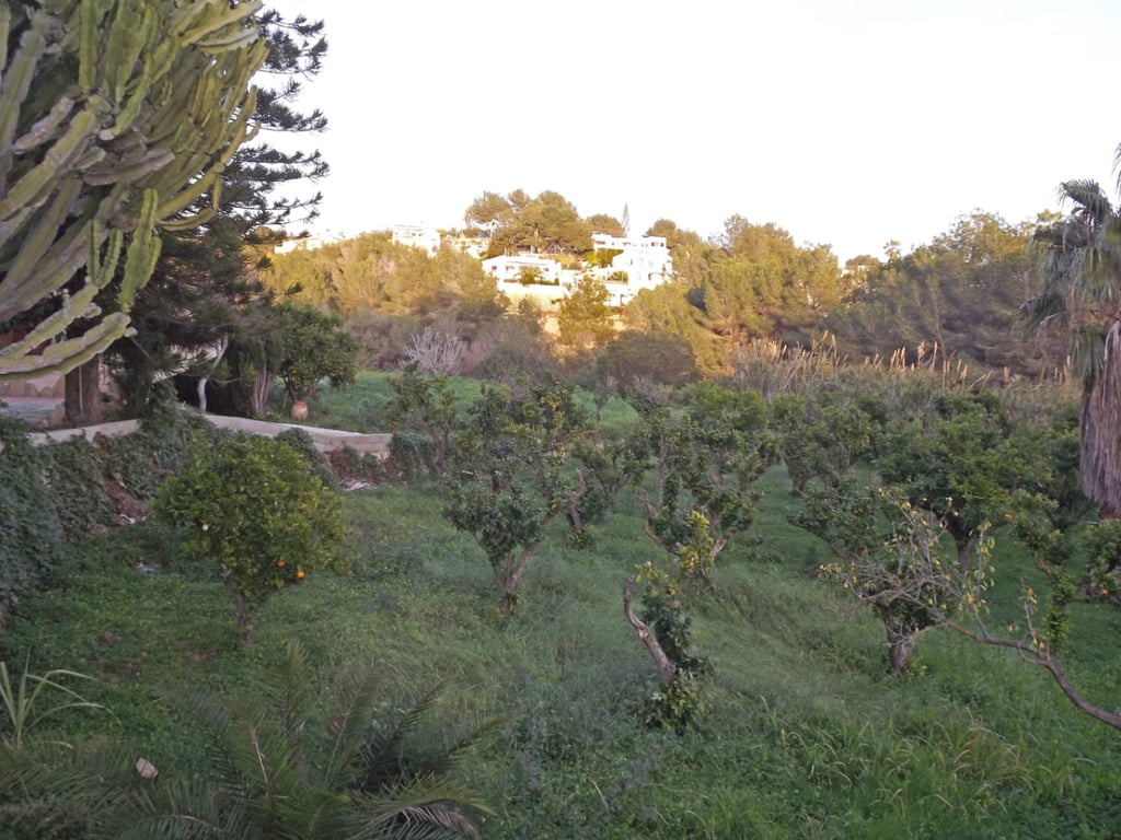 Villa a la Venta en Benissa, gran parcela de 4.685m2 - 26