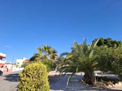 Rosita La Marina - 4