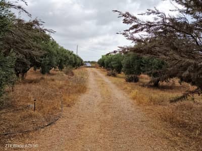 Property #TSR2474C - Image 3