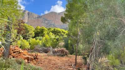 Property R4389622 0