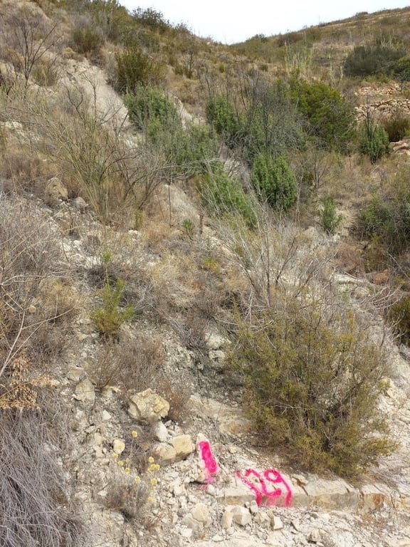 Se vende parcela en pedreguer con licencia de construccion - 28