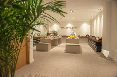 Property #TSR3256C - Image 2