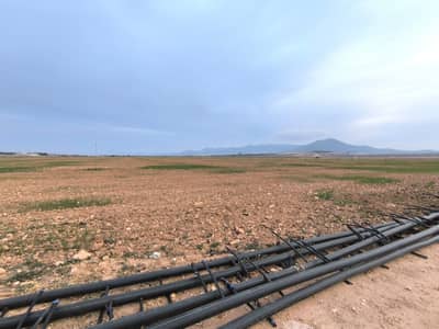 Property #TSR3306C - Image 4