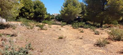 Property #TSR3271C - Image 3