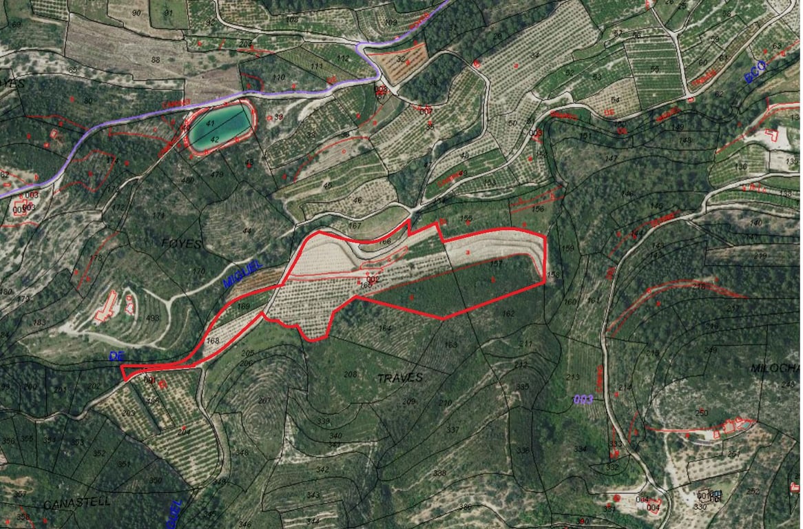 Gran Finca de Naranjos con Vistas al Mar y Posibilidad de Vivienda - 9