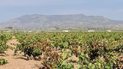 Property #TSR3421C - Image 2