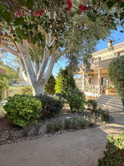 Property #TSR3123C - Image 2