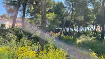 Property #AD 289 1