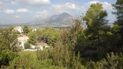 Property #TRA5248 - Image 4