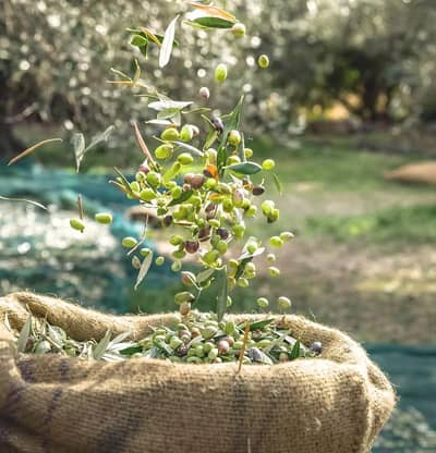 Property #TSR2699C - Image 2