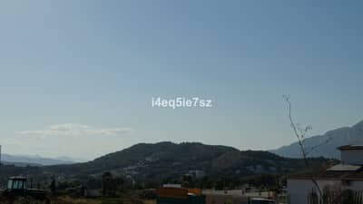 Property #TSR1500C - Image 4