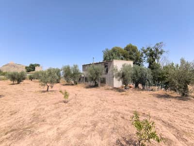 Property #TSR3375C - Image 3