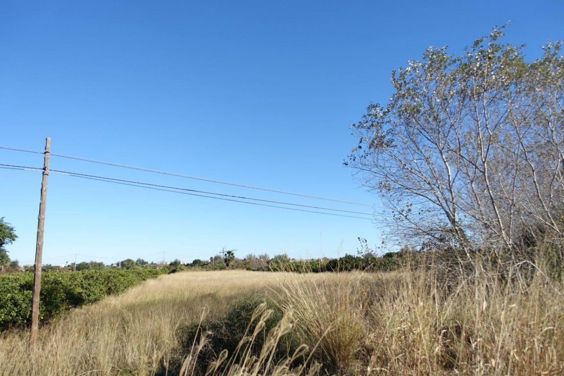 Discover Your Dream Home