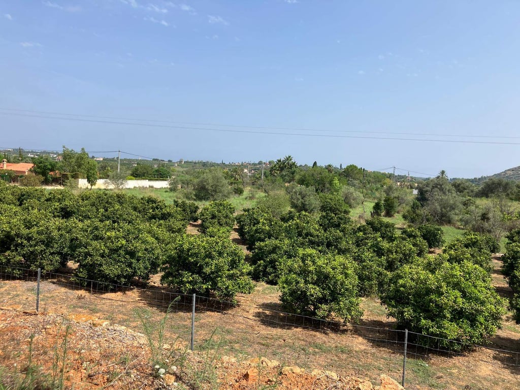 Casa de campo para reformar - 3