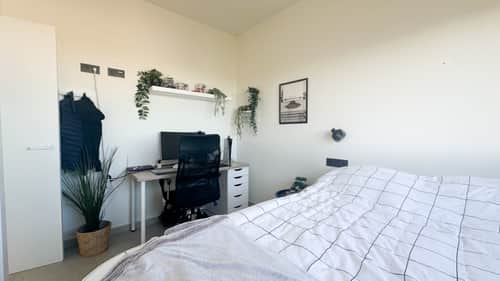 Bungalow met 3 slaapkamers in Torrevieja — foto 21