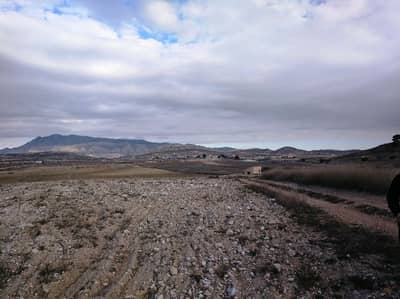 Property #TSR3447C - Image 3