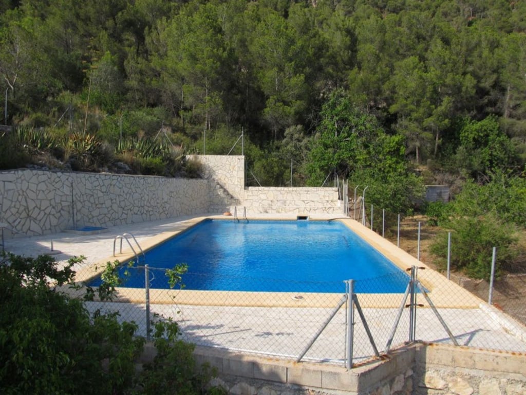 Finca amb plantacion d' alvocats a Forna - 28