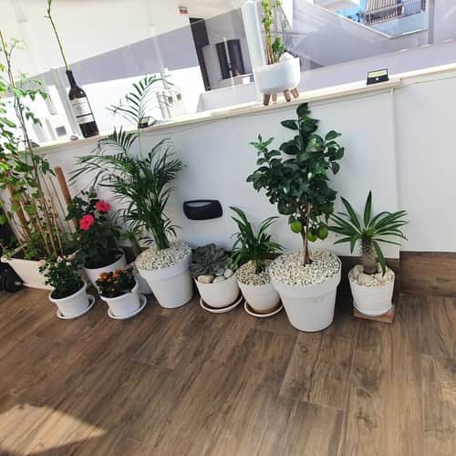Woning met 2 slaapkamers in San Pedro del Pinatar — foto 12