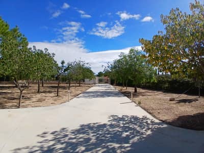 Property #TSR1626C - Image 4