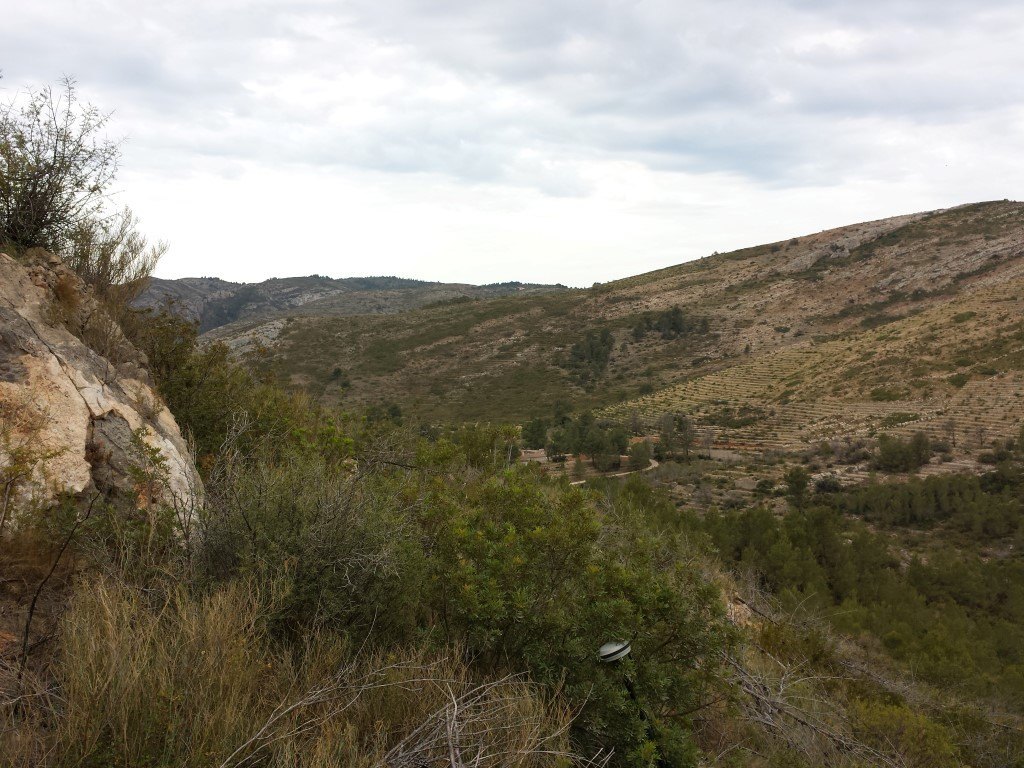 Se vende parcela en pedreguer con licencia de construccion - 13