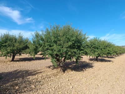 Property #TSR2919C - Image 4