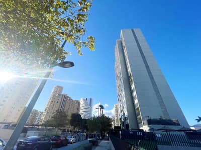 Property #TSR1385C - Image 2