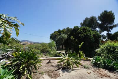 Property #TSR1169C - Image 4