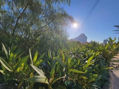 Property #TSR1594C - Image 2