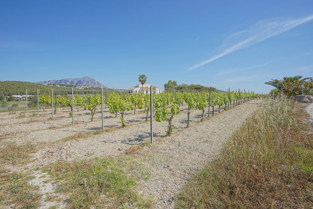 Villa mediterránea con viñedo, piscina y vistas panorámicas al Montgó