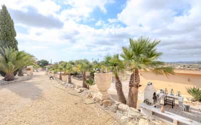 B & B in El Moralet - 3