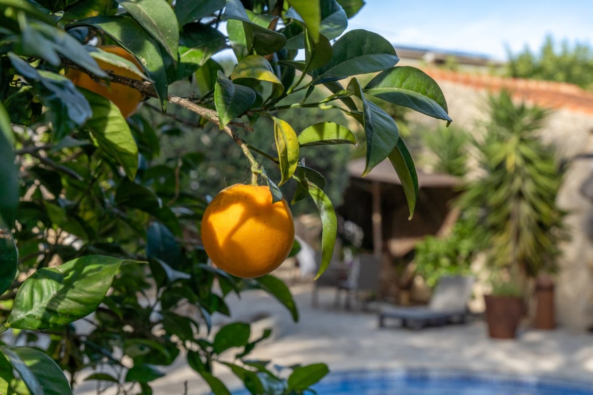 Villa con apartamento de invitados, totalmente renovada y cerca del casco antiguo de Jávea - 41